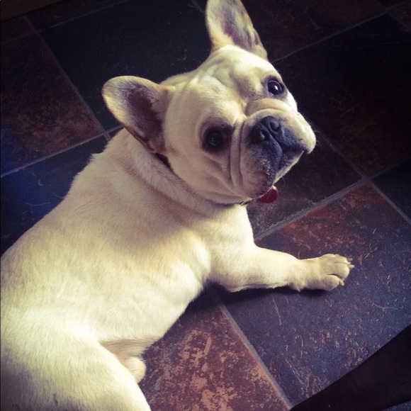 Meet your Posher, Emily - Picture 2 of 8